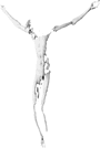 crocifisso